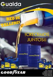 RED TALLERES GOODYEAR